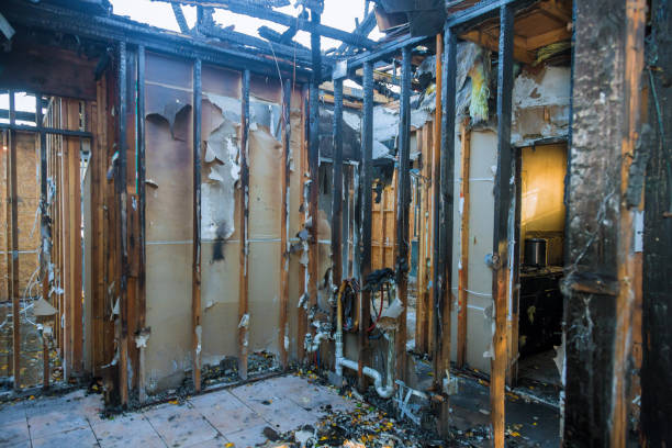 Professional Smoke Damage Removal technician working in Clarksville, VA